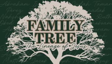 Family Tree Youtube