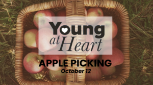 Young At Heart First Friday Game Night_sPoster.pdf